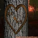 Proof of Love!