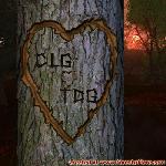 Proof of Love!