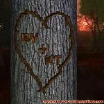 Proof of Love!