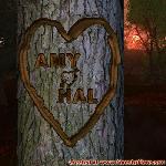 Proof of Love between AMY and HAL