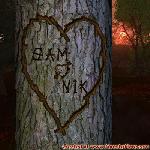 Proof of Love between SAM and NIK