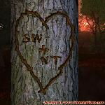 Proof of Love!