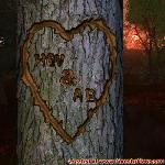 Proof of Love!