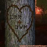 Proof of Love between ERR and DWM
